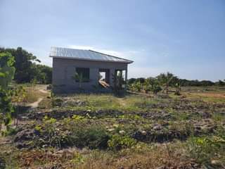 A picture of NYUMBA NA HEKARI