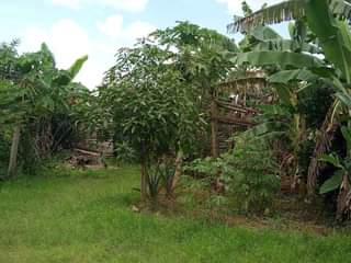 A picture of 50 100ft near tarmac is up for sale 12m located