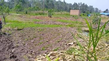 A picture of Land