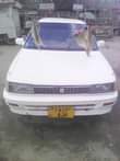 A picture of Collora limited