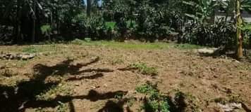 A picture of Kiwanja kipo tengeru kinauzwa