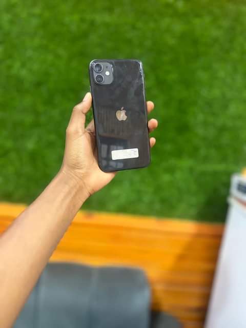 A picture of Iphone 11 plain