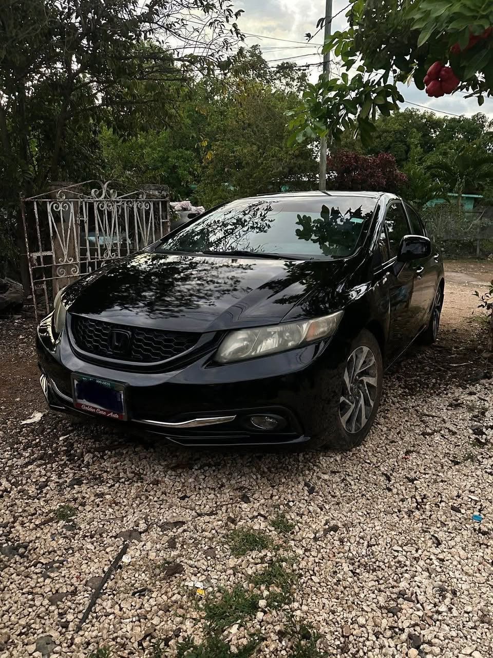 cars