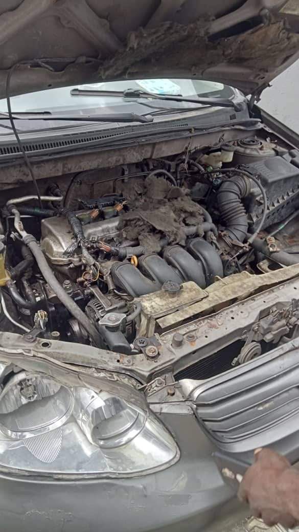 A picture of Dealer Market Fastest Finger on this Asap Toyota Corolla 04