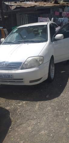cars