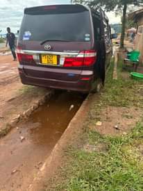 A picture of ALPHARD