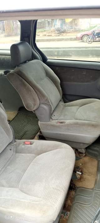 A picture of Sienna for sale