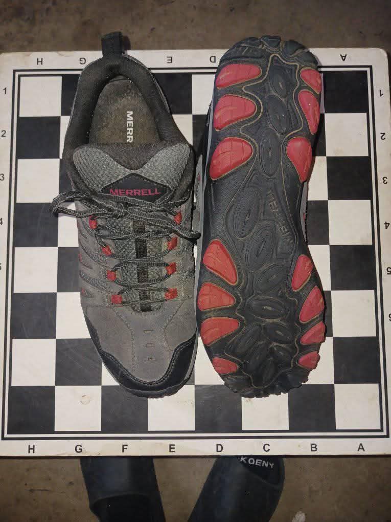 shoes