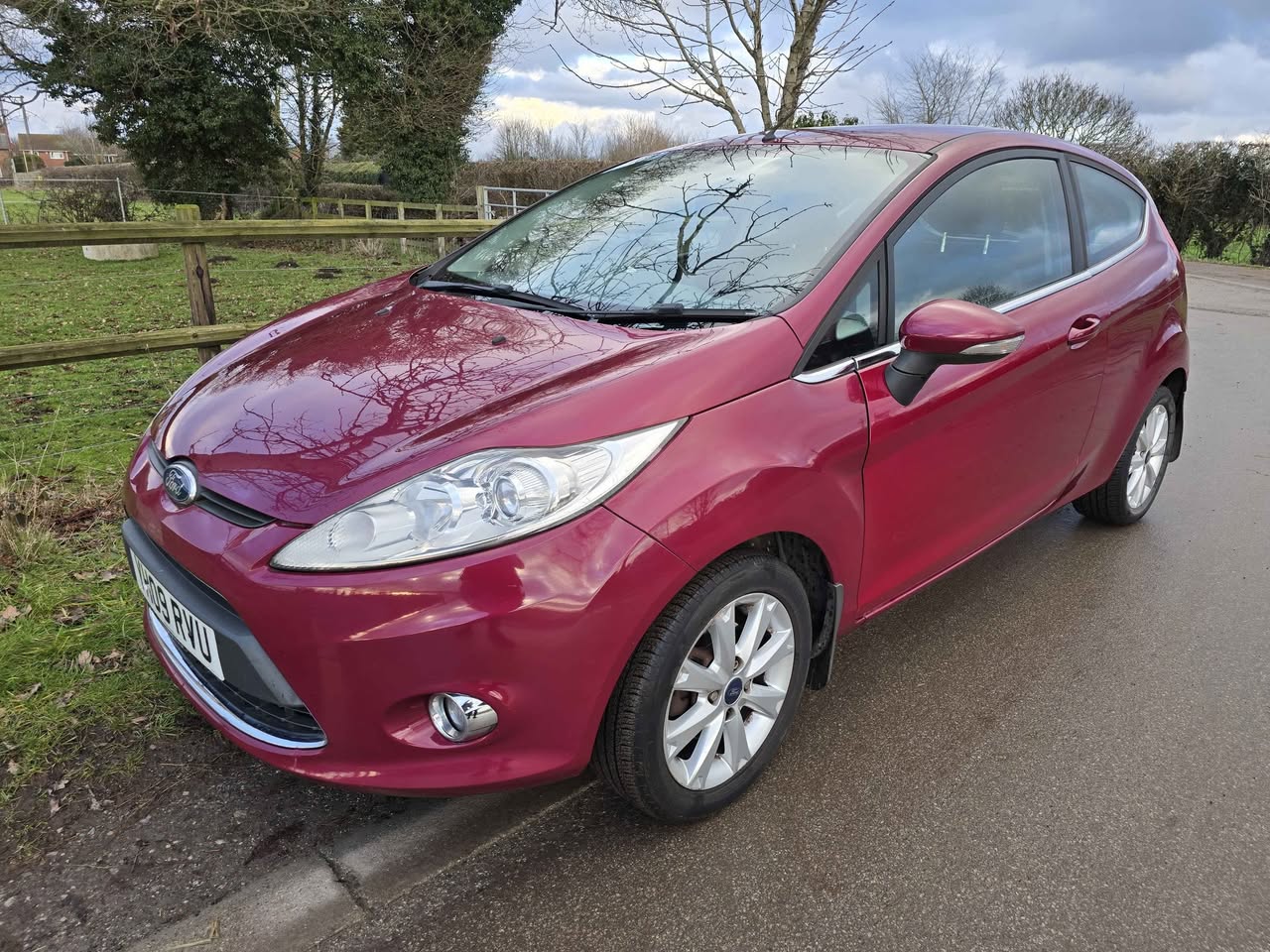 ford zetec