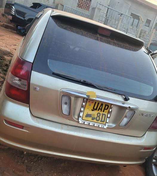 A picture of Nadia on quick sale 8m needed urgently now