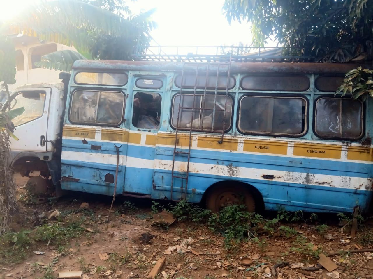 bus