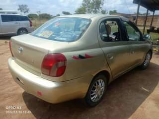 used toyota platz
