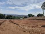 A picture of NEW PRIME ESTATE DEAL 50X100FT AT NAMUGONGO SONDE AT UGX75M