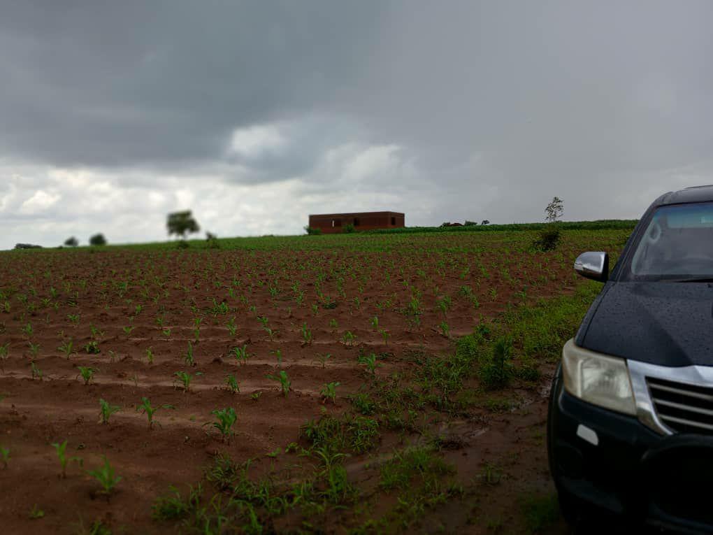land