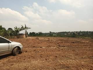 A picture of Quick sale size 100by100ft with land title busubuzi price 22m