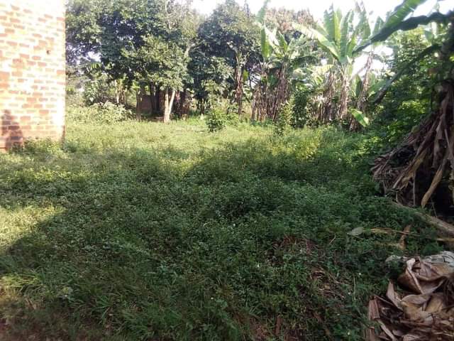 A picture of Land on sale