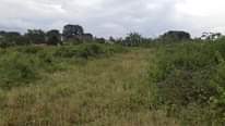 A picture of Plots