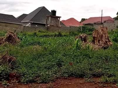 A picture of Wakiso town plots for sale both commercial Residential 25m 45m