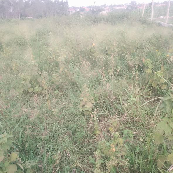 A picture of Plots of Land