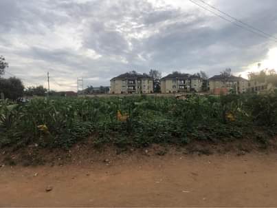 kagugu accommodation