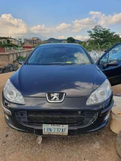 A picture of Peugeot 407