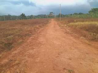 A picture of Kakiri Magogo Estate 100ft by 50ft 12m 15m 0759502757 instalments