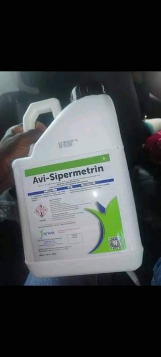 Affordable A.