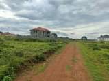 A picture of LAND