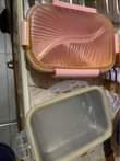 A picture of kiwaltule quick deal