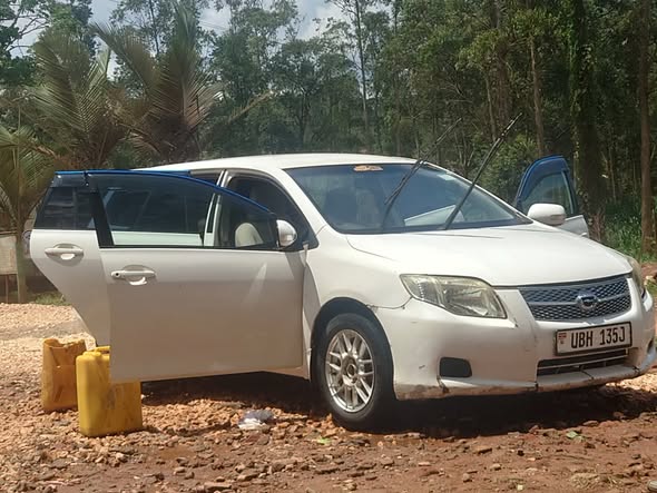 A picture of 2001 Toyota premio