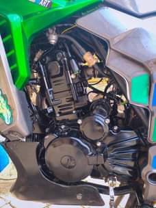 A picture of Sk leopard 300cc
