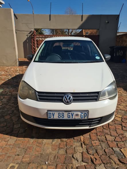 polo vivo