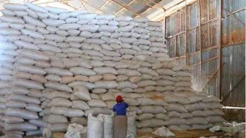 A picture of Rice for sale Kaiso