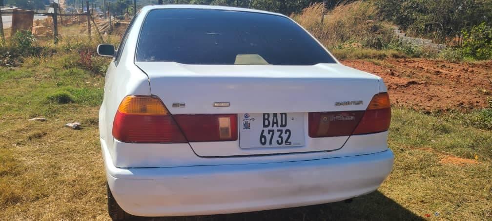 used toyota corolla