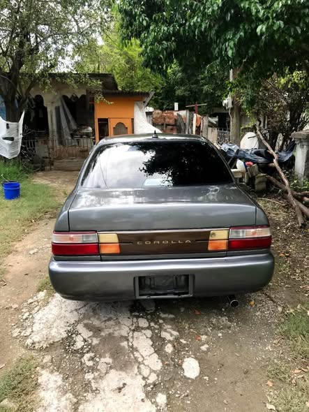 cars