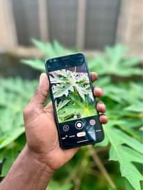 A picture of Google pixel 4PLAIN
