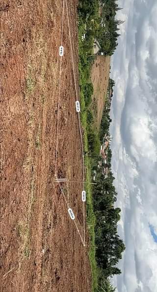 A picture of STRATEGIC AND AFFORDABLE PLOTS FOR SALE IN NAMUSERA WAKISO DISTRICT