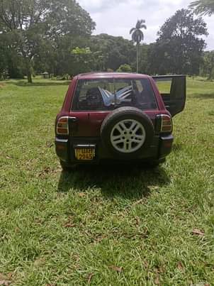 A picture of Rav 4