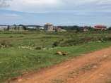 A picture of Ready plots on sale Nkumba