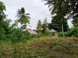 A picture of KIWANJA KIKUBWA KARIBU NA BARABARA