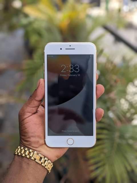 A picture of iPhone 7 plus