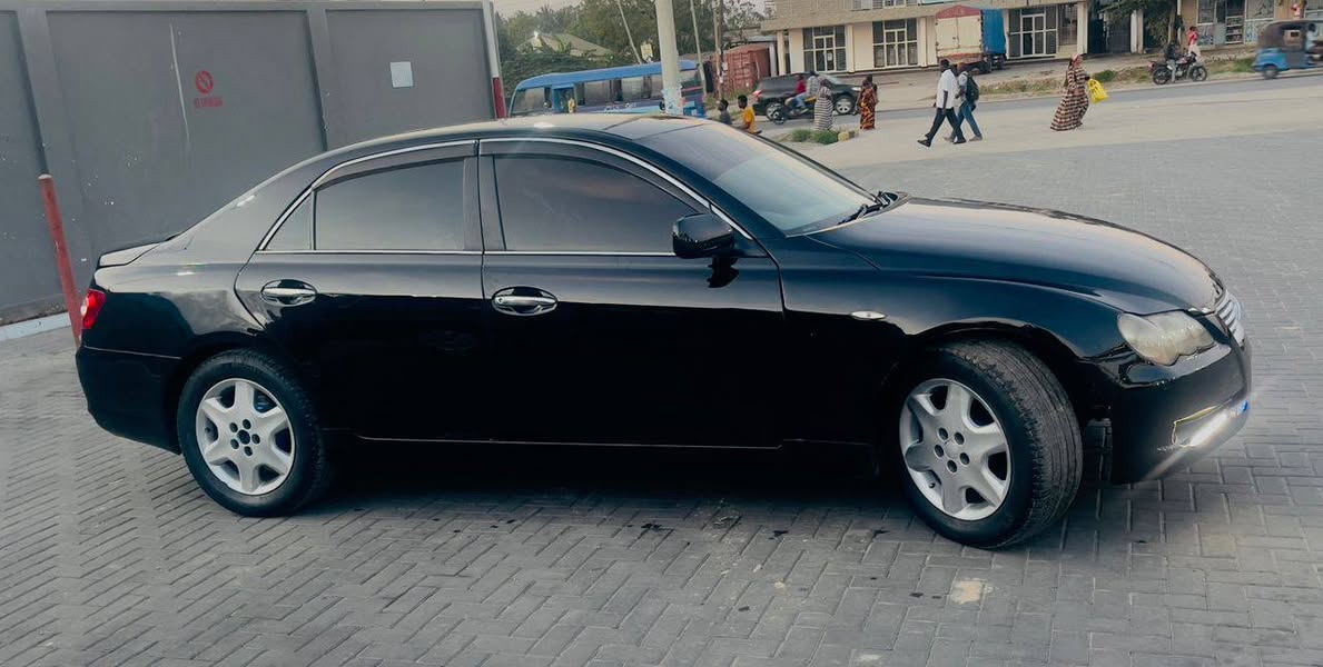 A picture of Gali inauzwa