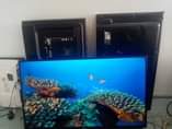 A picture of Ofa TV 130 inch 32