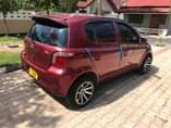 A picture of Vitz