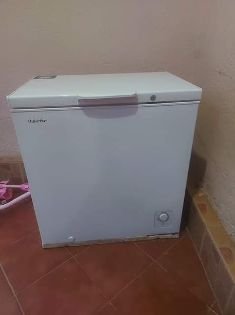 deep fryer