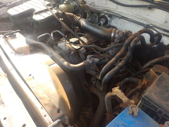 A picture of LandCruiser