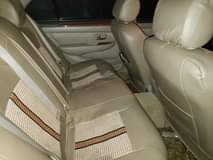 A picture of Brevis