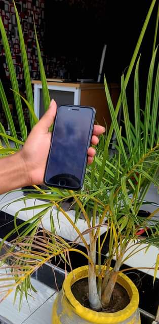 A picture of iphone 7 plain