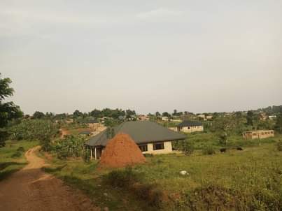 houses matugga