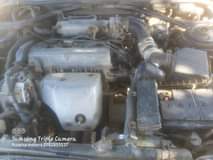 toyota corona